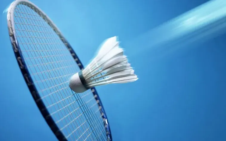 Cách Chơi Cá Cược Cầu Lông Tại 79Win Hiệu Quả Và Thuyết Phục 2 Cách Chơi Cá Cược Cầu Lông Tại 79Win Hiệu Quả Và Thuyết Phục